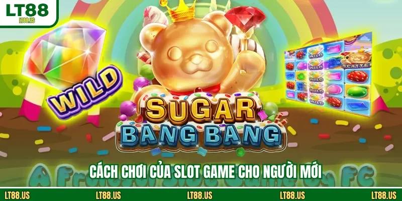 Cách chơi của slot game cho người mới